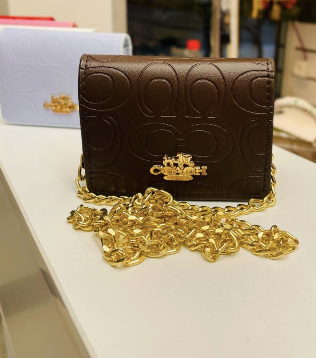کیف مجلسی
